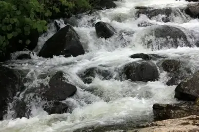 close up of cascading brook in adirondack mountains new york