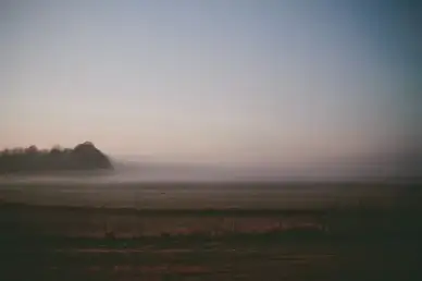 cloud cold field fog forest grass landscape mist