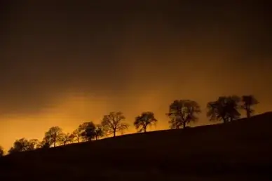 cloud dark dawn dusk evening fog forest golden