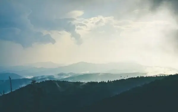 cloud dawn evening fog forest hill landscape mist