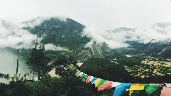 cloud fog forest hill java lake landscape mist