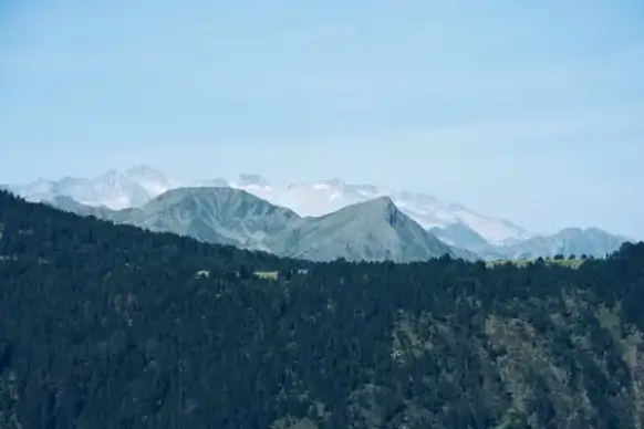cloud fog forest hill landscape majestic mountain