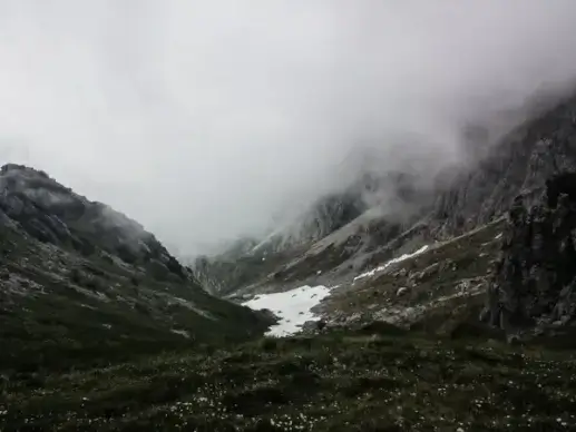 cloud fog forest hill landscape mist mountain