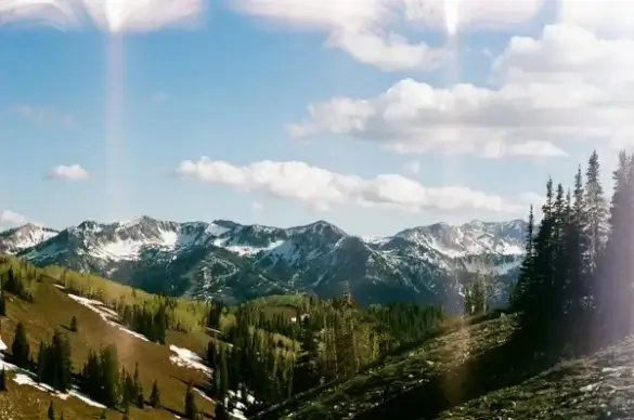 cloud forest hill landscape majestic mountain nature