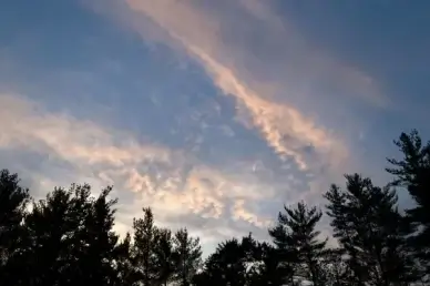 clouds trees