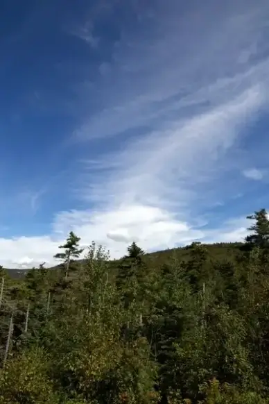 clouds trees
