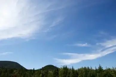 clouds trees