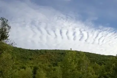 clouds trees