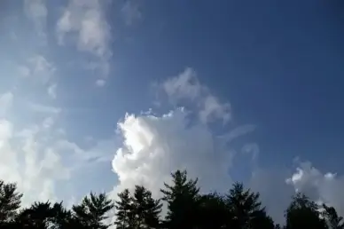 clouds trees sky