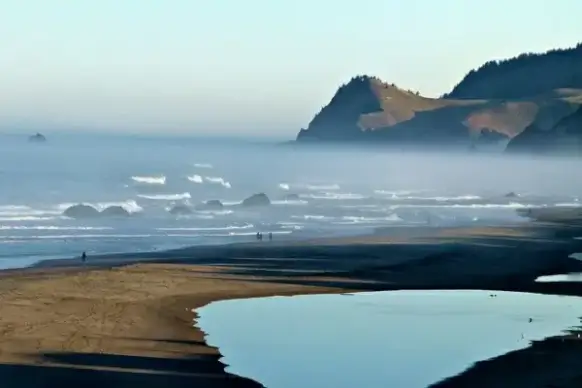 coast pacific shoreline