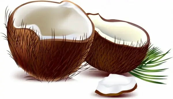 Coconuts