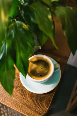 coffee background picture elegant closeup cup leaves 