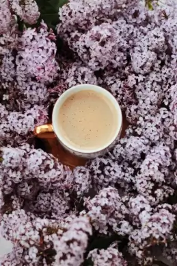 coffee background picture elegant flowers decor 
