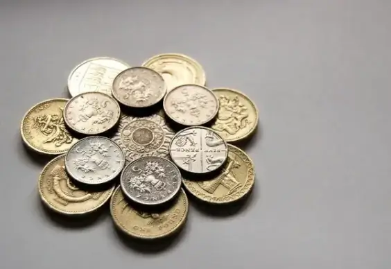 coin flower
