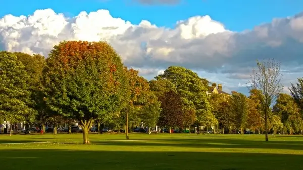 colorful autumn in park