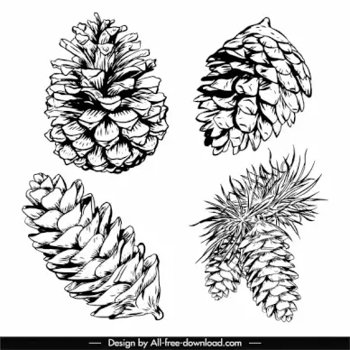 conifer pine cone icons black white retro handdrawn