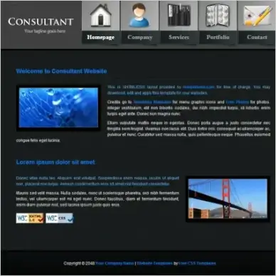  consultant