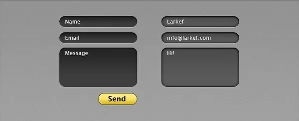 Contact Form Interface with Selected States