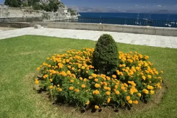 corfu town park