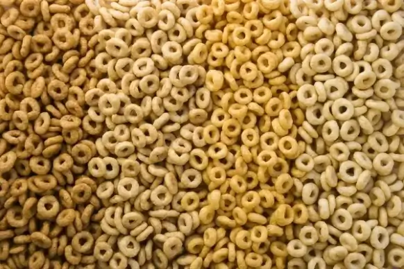 corn oats rice wheat