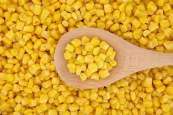 corn photo 04 hd picture