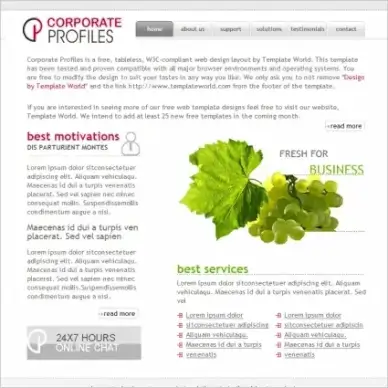 Corporate Profiles Template