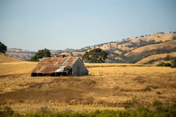 cottage field picture realistic bright