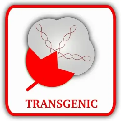 Cotton (Transgenic)