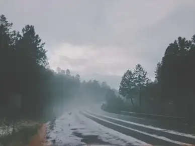 countryside fog forest highway landscape light mist