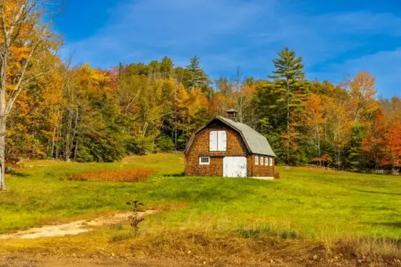 countryside picture elegant bright cottage meadow scene 
