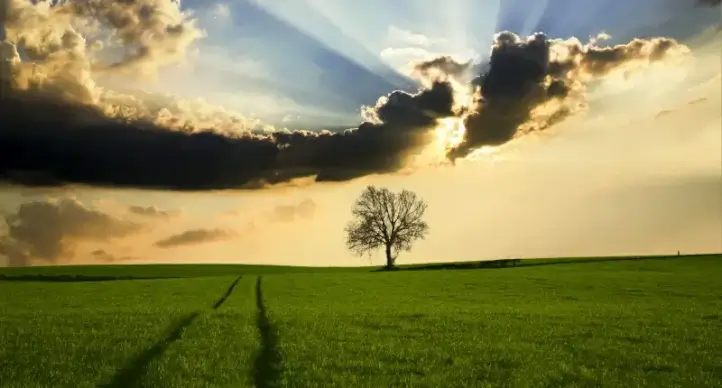 countryside scene picture serene filed tree sunlight 