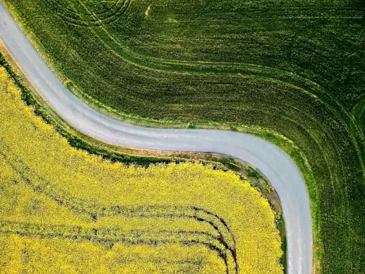 countryside scenery picture elegant curved road tree land