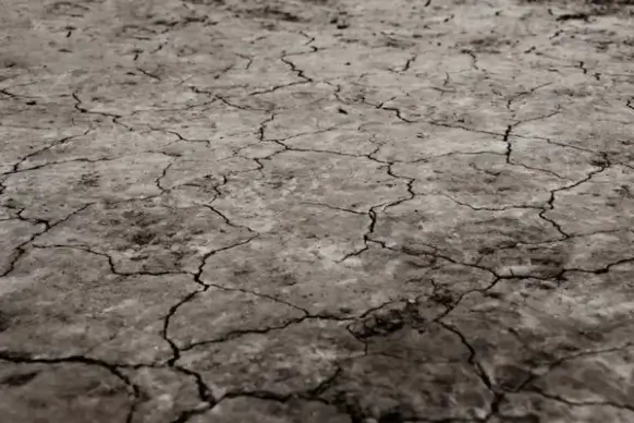 cracked earth