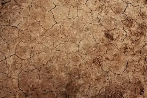 cracked earth texture