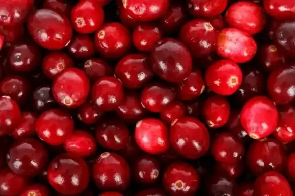 cranberries background