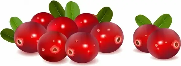 Cranberries with leaves