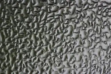 created by the rain