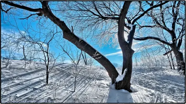 credit river mississauga