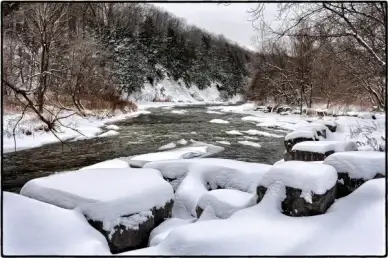 credit river mississauga