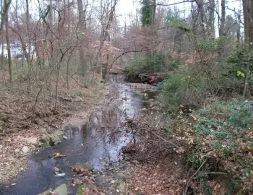 creek