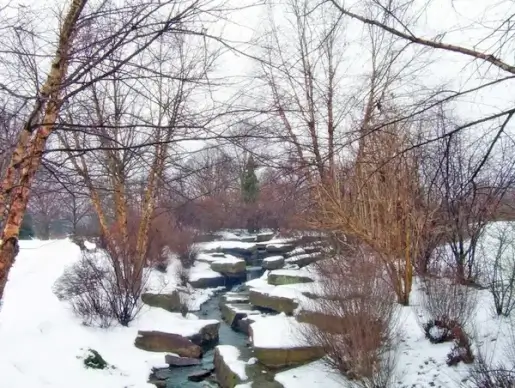 creek and snow
