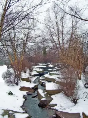 creek and snow