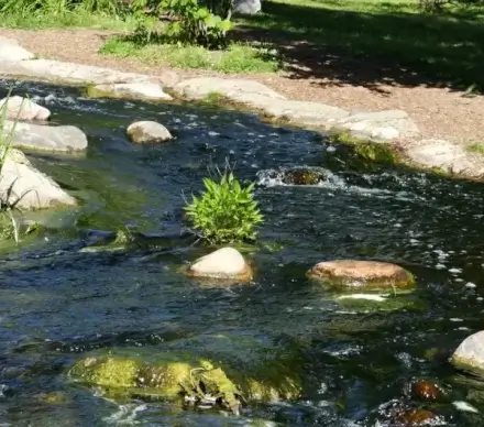 creek at the nature reserve