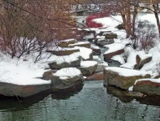creek in snow