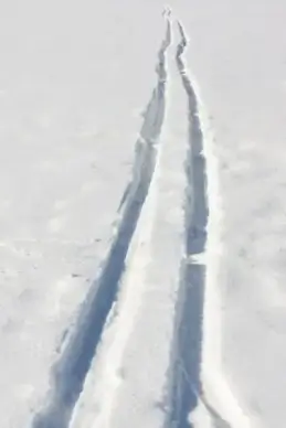 cross country skiing trail