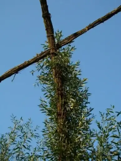 cross fouling climb