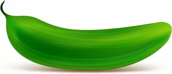Cucumber