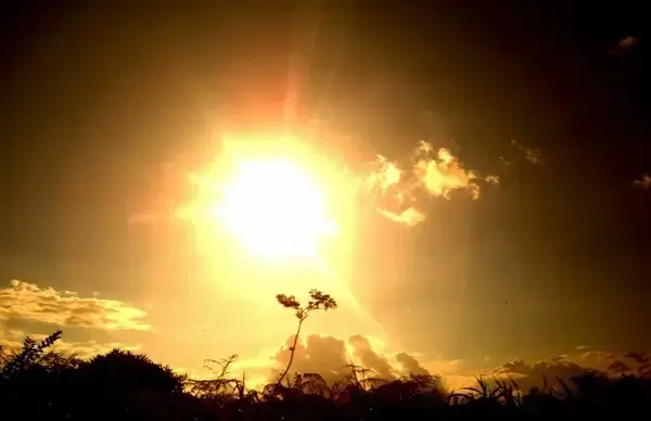 cute sun sunset