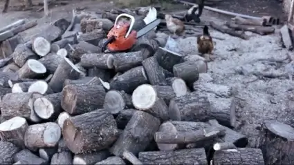 Cutted wood