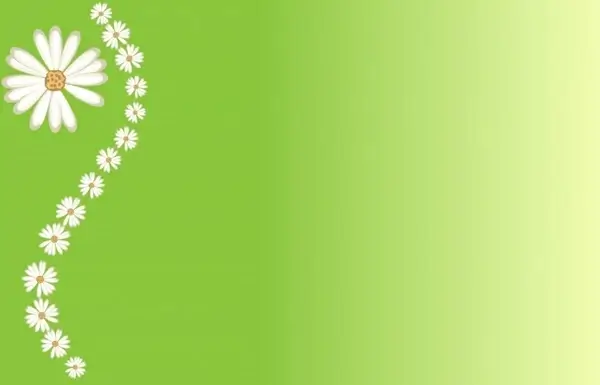 daisies on green background